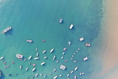 全國兩會(huì)上青島市長趙豪志強(qiáng)調(diào)海水養(yǎng)殖技術(shù)研發(fā)的重要性