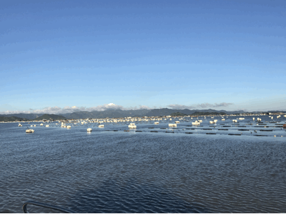 藍(lán)色牧場財(cái)富多——生態(tài)中國沿海行之福建霞浦海水養(yǎng)殖技術(shù)創(chuàng)新