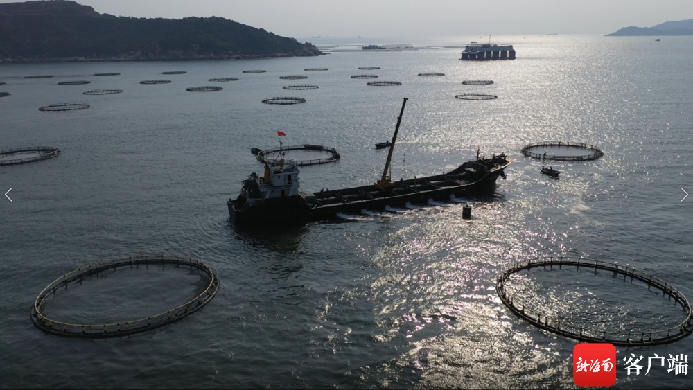 農(nóng)發(fā)行海南省分行33.04億元貸款助推南繁種業(yè)與海水養(yǎng)殖技術振興