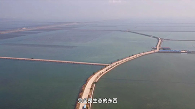 刺參工業(yè)化養(yǎng)殖技術研發(fā) 突破種業(yè)‘卡脖子’難題，推動海水養(yǎng)殖創(chuàng)新發(fā)展