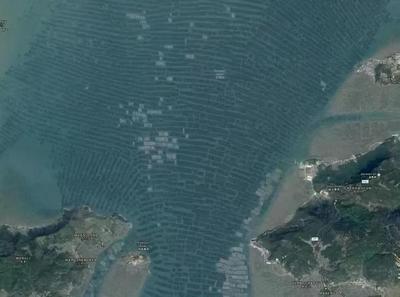 從稻田到海疆 袁隆平與海水養殖技術研發者的雙重饋贈