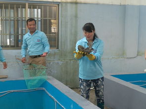 廣西防城港 海鑫鑫水產科技深耕海水石斑魚養(yǎng)殖與技術創(chuàng)新